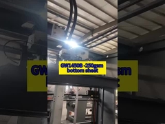 GW1450B - 250 gm feuille inférieure